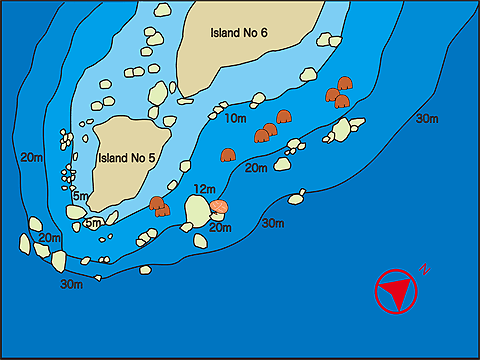 Dive site map/Anita's Reef